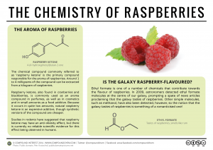 The-Chemistry-of-Raspberries